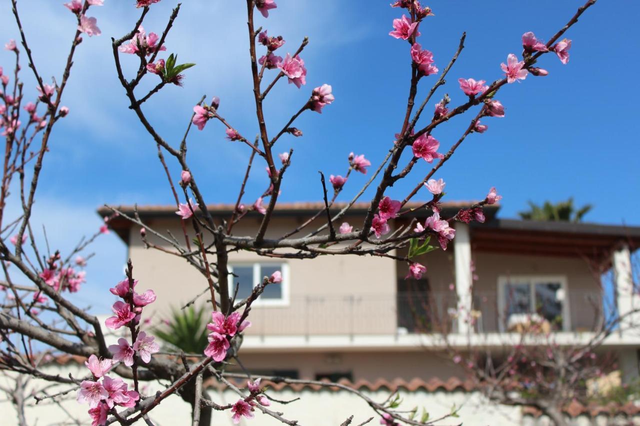 ブリアーティコ Residenza Anna Calabria Bed & Breakfast エクステリア 写真